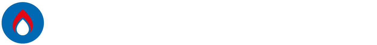 PLIN SERVIS Logo
